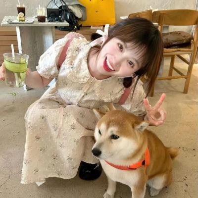 复活的小红帽